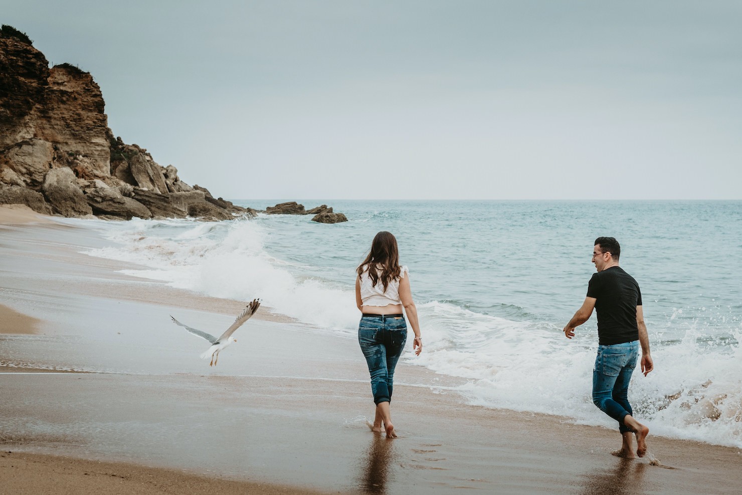 preboda gaviota