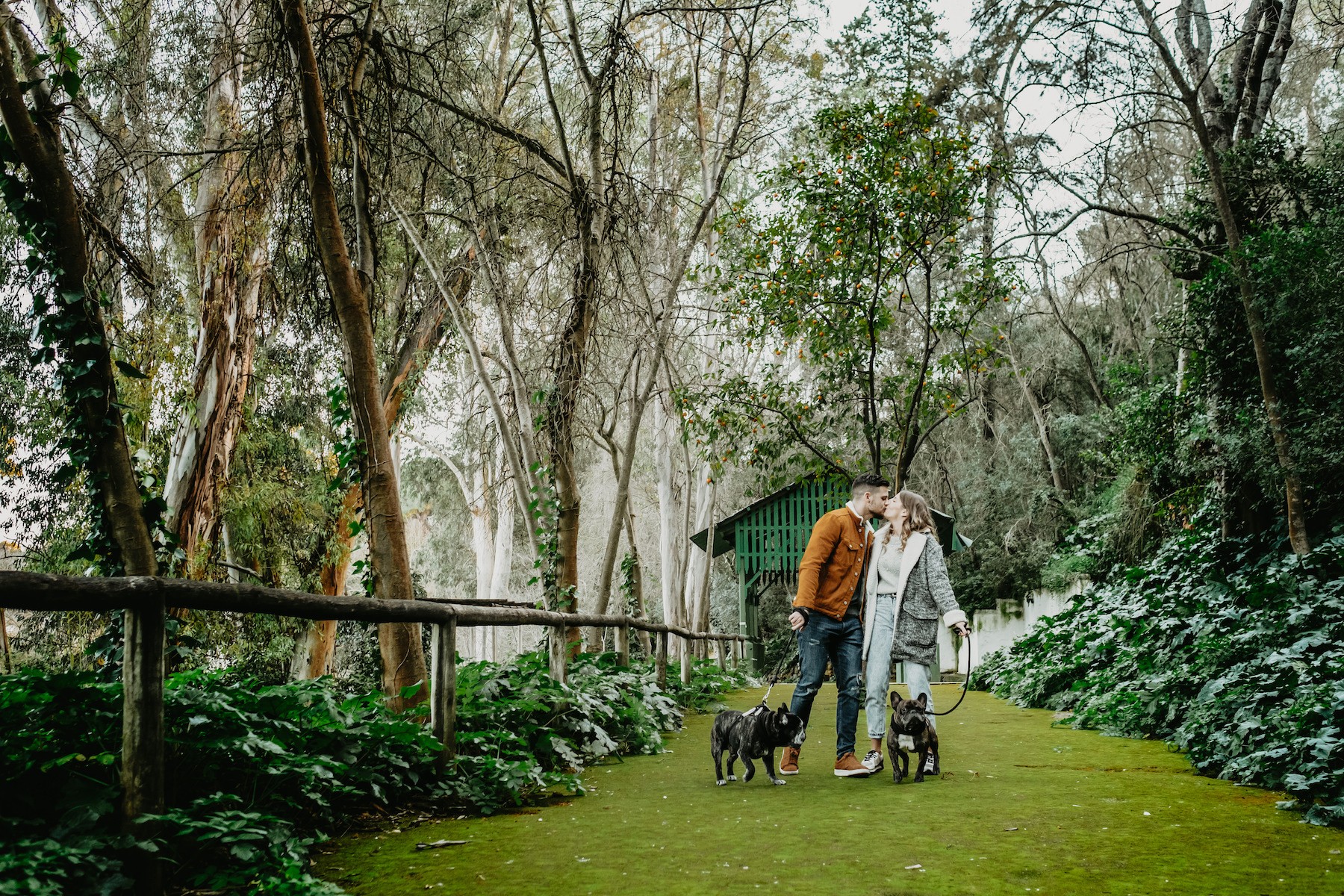 preboda oromana